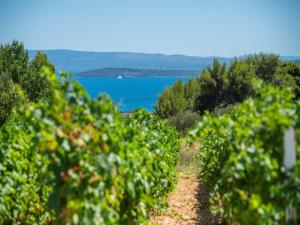 Charming Seaside Villa Getaway