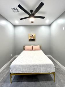 Modern Luxury Smart Home