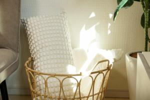 江の島エリア 駅徒歩5分の広々モダン一軒家 最大8名 無料駐車場と冬も快適な床暖房あり molle shonan