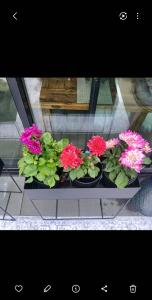 Penthouse, seaview, free pk, 2 bdbath, 5 min walk