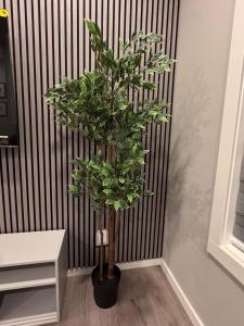 NorthEdge Suites Leduc