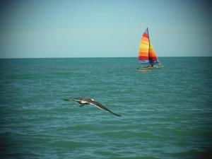 San felipe Studio 6 FREE WIFI AND CABLE TV