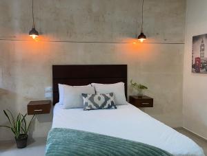 Departamento tipo loft