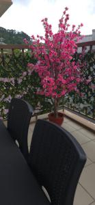 Baguio and Japan Fusion in Baguio City