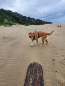 Waves End Holiday Home