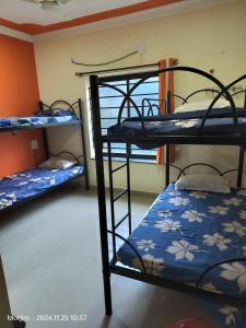 Bunk bed room by the beach