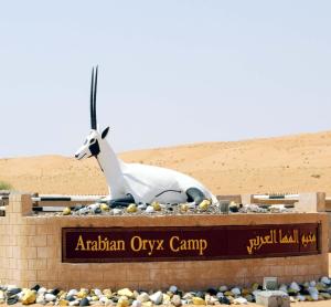 Arabian Oryx Camp