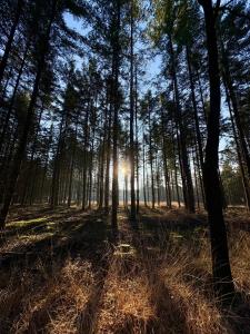 Rumah Bersama Kempenbos