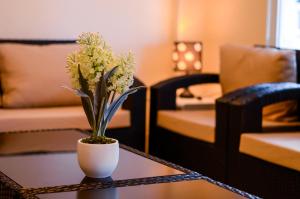 Beach Grand & Spa Premium