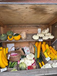 Rumah Bersama Kempenbos