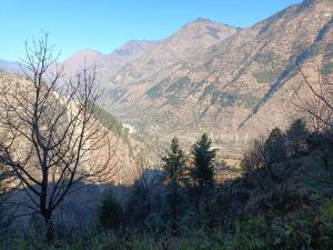 Himalayan farm stay