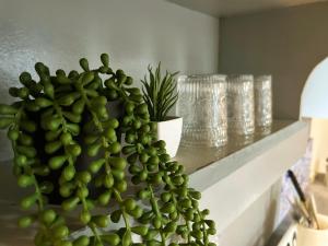 Chic Apartment in Tourism Road, General Luna