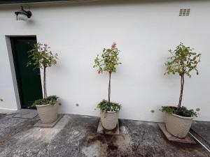 Peaceful coastal holiday home