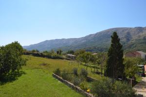 Apartments Elizabeta