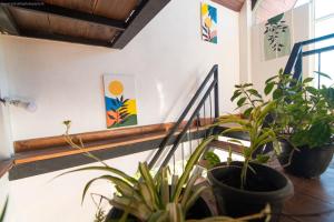 Nuwara eliya sunsky family cottage