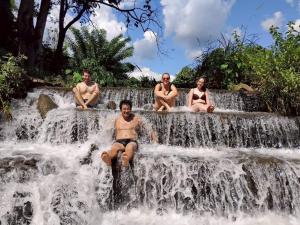 Doi Lom Elephant farmstay