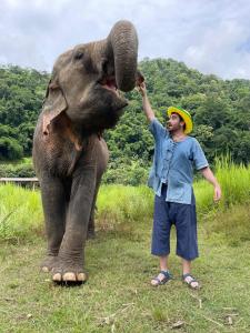 Doi Lom Elephant farmstay