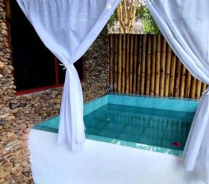 Doi Lom Elephant farmstay