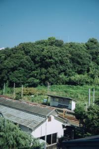 海に恋する泊まれる喫茶店 ポパイ
