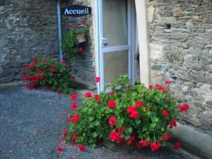 B&B / Chambres d'hotes Domaine de la Cour : photos des chambres