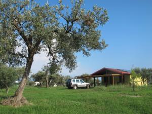 Holiday home Stella di Sicilia