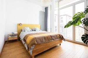 Sunny 2B apartment in City Centre