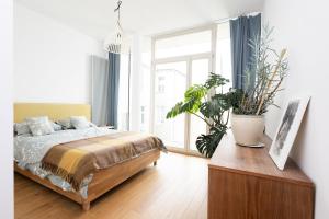 Sunny 2B apartment in City Centre