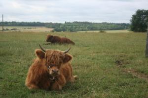 La Ferme Du Pré Charmant