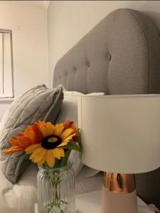 Pallister House Middlesbrough