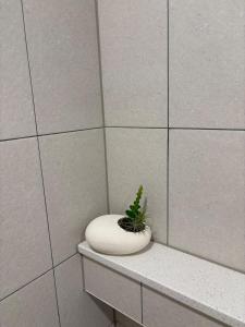 Hongdae x Holiday Inn YeonnamS