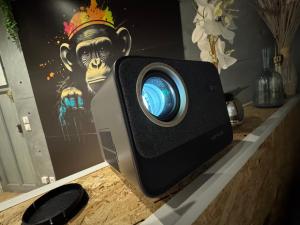 Studio Jungle with Netflix and video projector