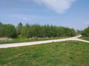 Be our next Guest in Ghent