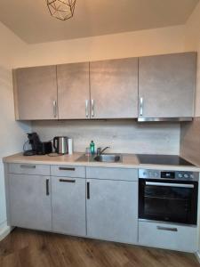 Monkey Magic Mansion 2 BR, next to tram and lake