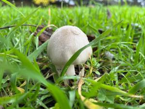 Cada Rural El Molino Valle del Tiétar