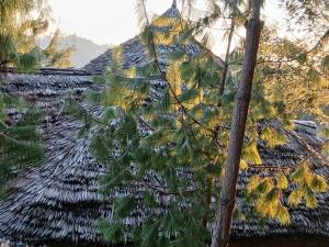 Jegestal Serenity Homestay Camping &Tours