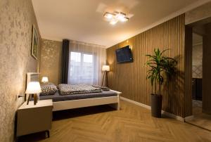 Prestige Apartament near thermal pool