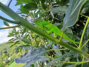 Jegestal Serenity Homestay Camping &Tours