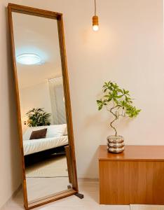 신규할인,잠실 롯데월드,강남성형외과, 가로수길 20분,성수동15분,