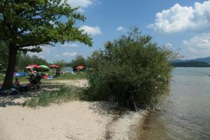 Vollausgestattetes Tiny Haus Mobilhaus direkt am Wallersee im Salzburger Land