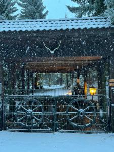 Natur pur, Haus mit großen Garten am Wald