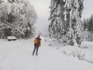 Eifel24, neues und barrierefreies Appartement mit Terrasse
