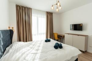 Ideal Comfort Apartament