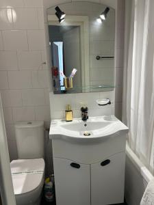 SkyView-Ateneu-Sala Palatului