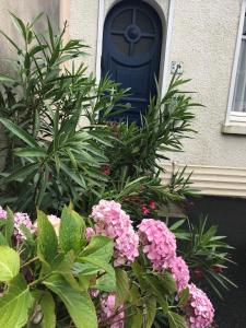 MAISON ARZAEL à SAINT MARC SUR MER