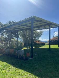 Un moment paisible dans la montagne