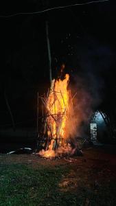 Calm Adventure Resort