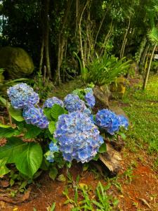 Pousada Canyons Rio do Boi