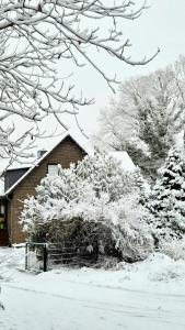 Ferienwohnung Sleep and Stay im Grünen