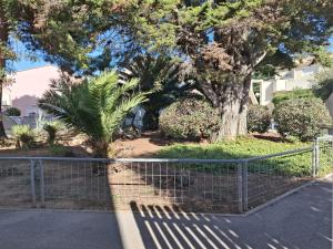 LOlivier des Claires Marines