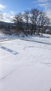 Chez Gigi et Malou - gîte Brimbelle